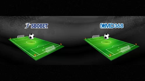 กีฬา-ยืนยัน otp รับเครดิตฟรี